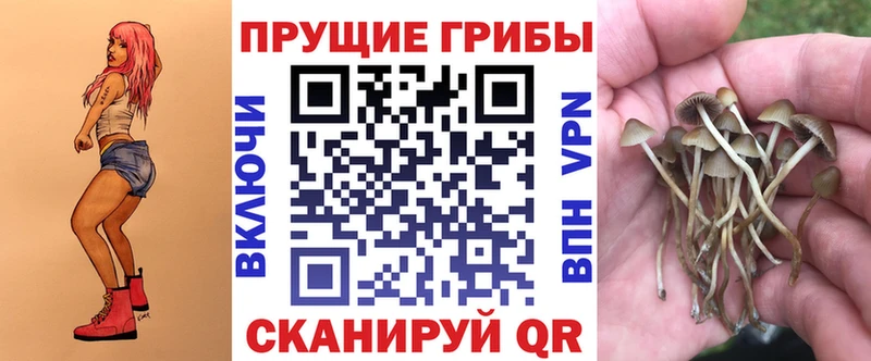 Псилоцибиновые грибы Cubensis Киржач